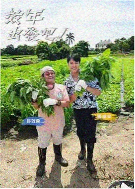 爆笑实验室 55影院脑洞综艺